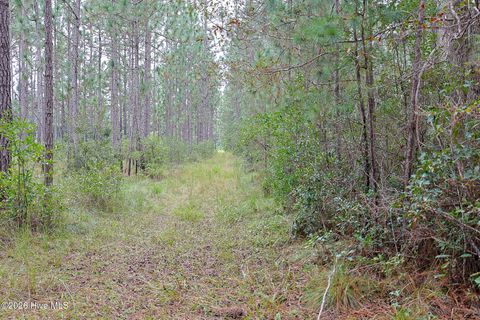 Tiny photo for 1057 Egypt Road NW, Ash, NC 28420 (MLS # 100547906)