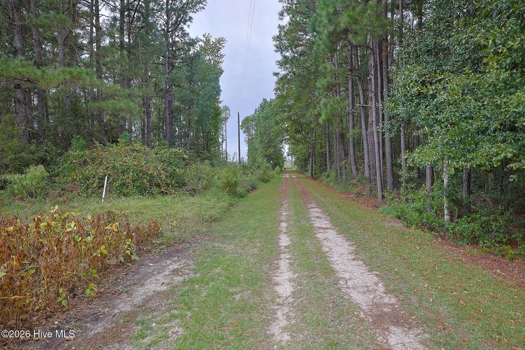 Photo of 1057 Egypt Road NW, Ash, NC 28420 (MLS # 100547906)