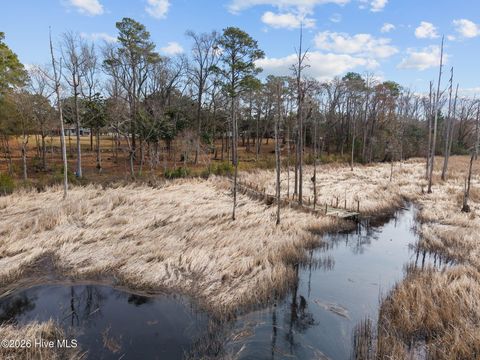 Tiny photo for 1405 Ness Drive, Castle Hayne, NC 28429 (MLS # 100557374)