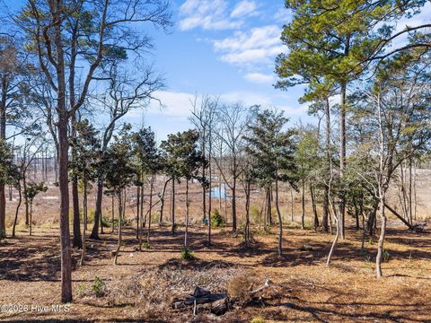 Photo of 1405 Ness Drive, Castle Hayne, NC 28429 (MLS # 100557374)