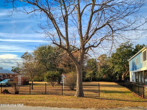 Photo of 103 Broadview Lane, Hampstead, NC 28443 (MLS # 100551537)