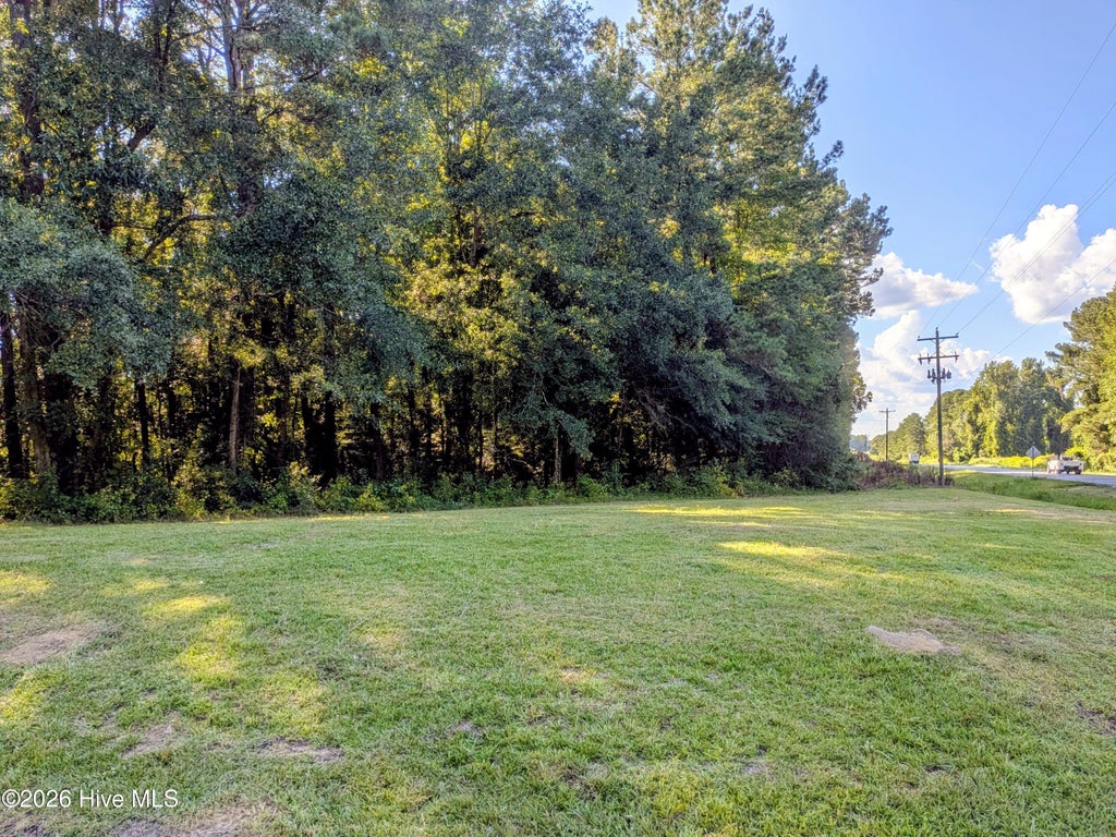 Photo of 24 Baltimore Road, Riegelwood, NC 28456 (MLS # 100600816)
