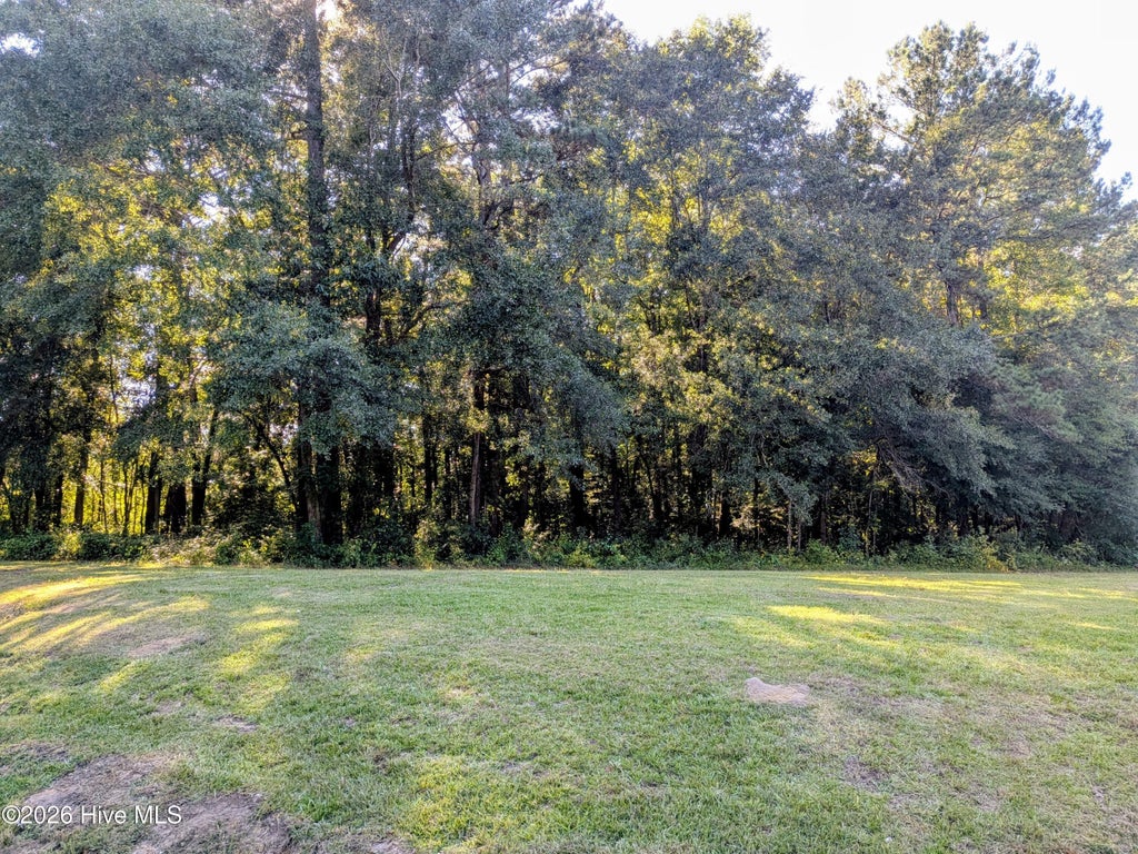 Photo of 24 Baltimore Road, Riegelwood, NC 28456 (MLS # 100600816)