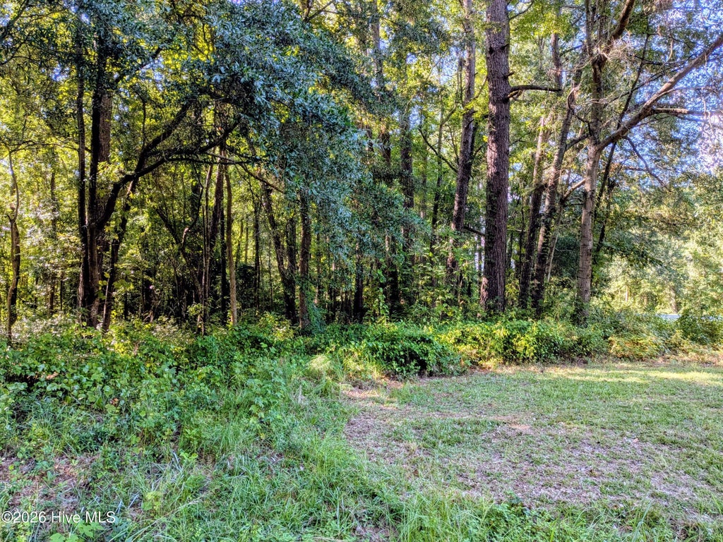 Photo of 24 Baltimore Road, Riegelwood, NC 28456 (MLS # 100600816)