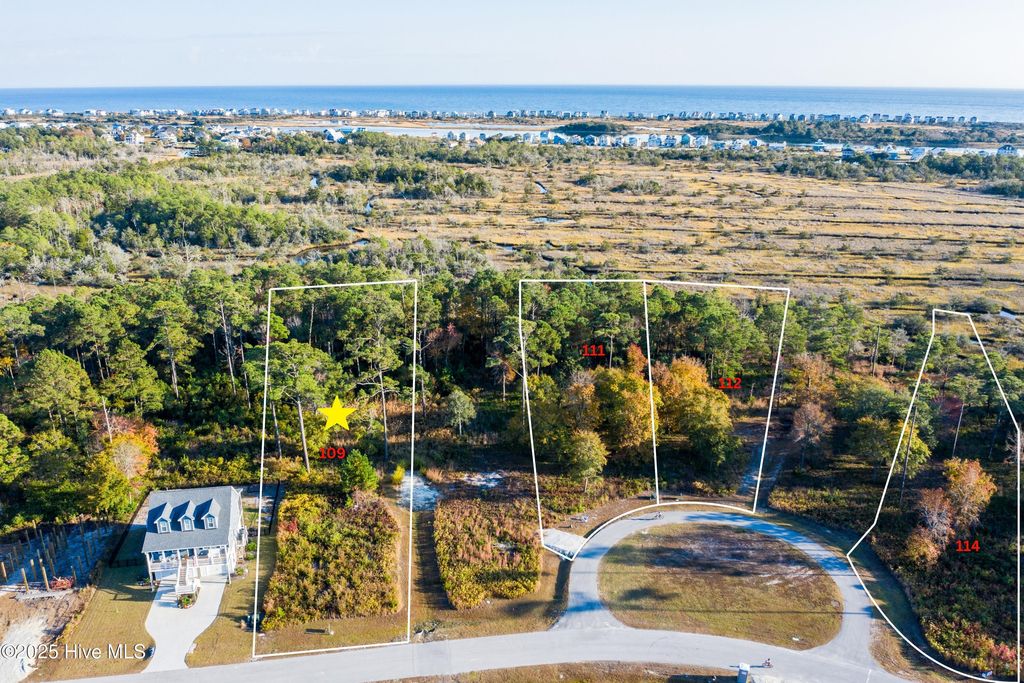 Photo of 323 Landon Lane, Sneads Ferry, NC 28460 (MLS # 100523722)