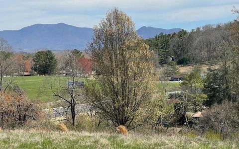 Vacant Land For Sale - LOT 8 Cabin Drive<br/> Hayesville, NC 28904