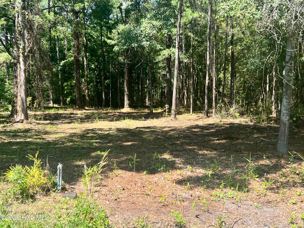 Photo of 2 Elm Street, Belhaven, NC 27810 (MLS # 100600166)