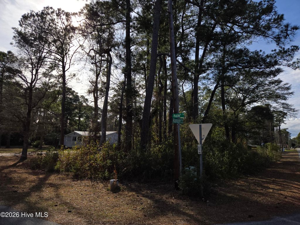 Photo of 693 Hanover Street SE, Bolivia, NC 28422 (MLS # 100550548)