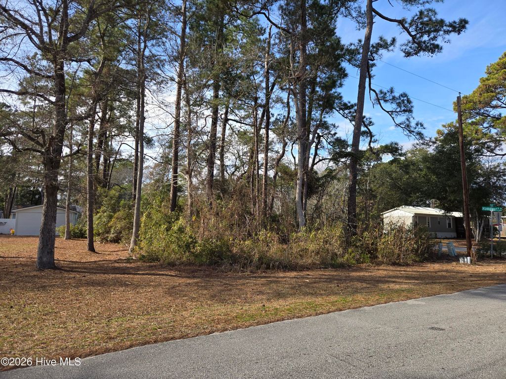 Photo of 693 Hanover Street SE, Bolivia, NC 28422 (MLS # 100550548)