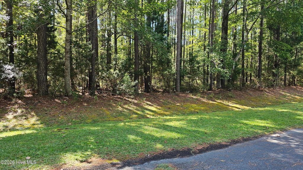 Photo of 100 Arnetta Way N, Oriental, NC 28571 (MLS # 100560798)