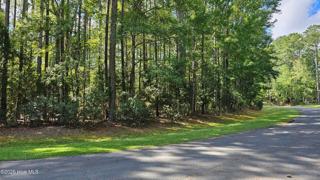 Photo of 100 Arnetta Way N, Oriental, NC 28571 (MLS # 100560798)