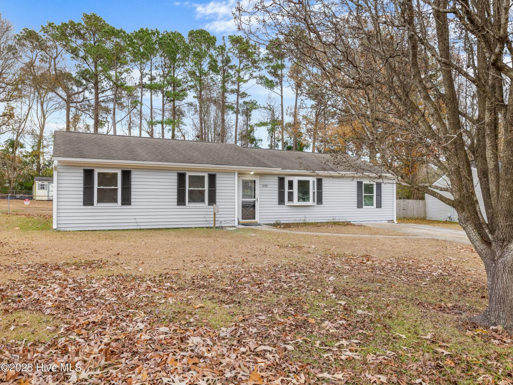 Photo of 203 Devon Court, Jacksonville, NC 28546 (MLS # 100546009)