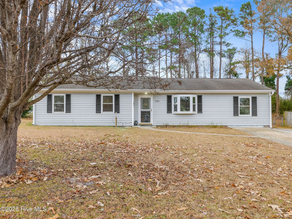 Photo of 203 Devon Court, Jacksonville, NC 28546 (MLS # 100546009)