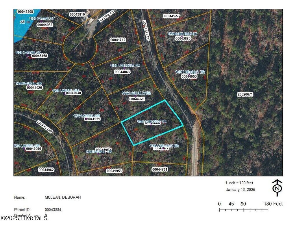 Photo of 1148 Loblolly Drive, Vass, NC 28394 (MLS # 100487081)