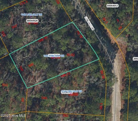 Vacant Land For Sale - 1148 Loblolly Drive<br/> Vass, NC 28394