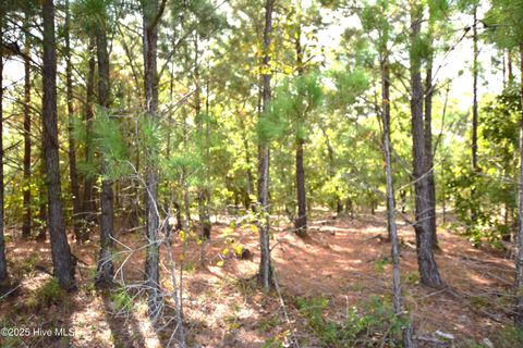 Vacant Land For Sale - 1035 Mill Road<br/> Moore County, Jackson Springs, NC 27281