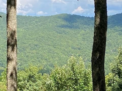 Vacant Land For Sale - 000 Turkey Pen Drive<br/> Murphy, NC 28906