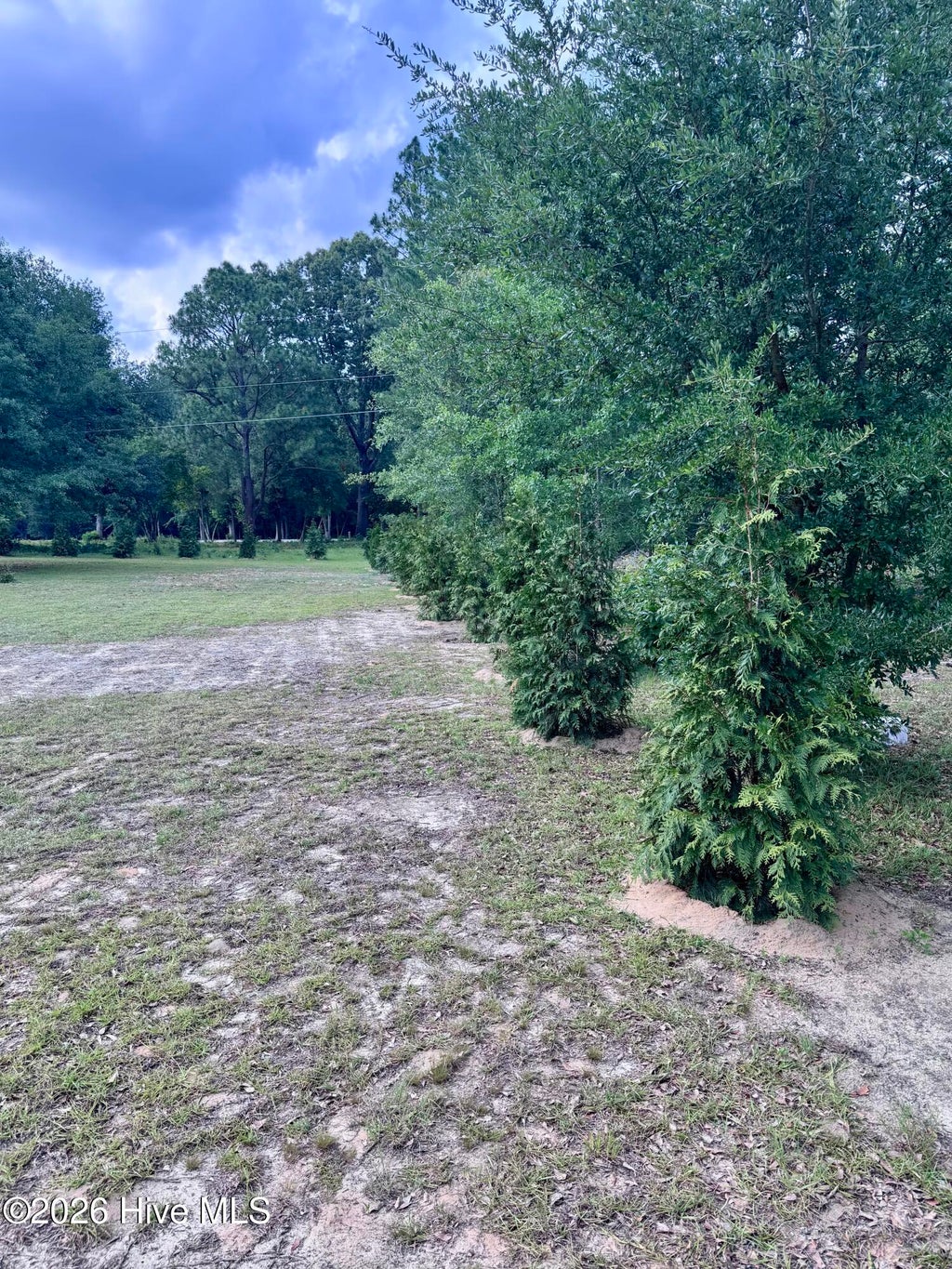 Photo of 12341 Mallard Creek Drive, Laurinburg, NC 28352 (MLS # 100580411)