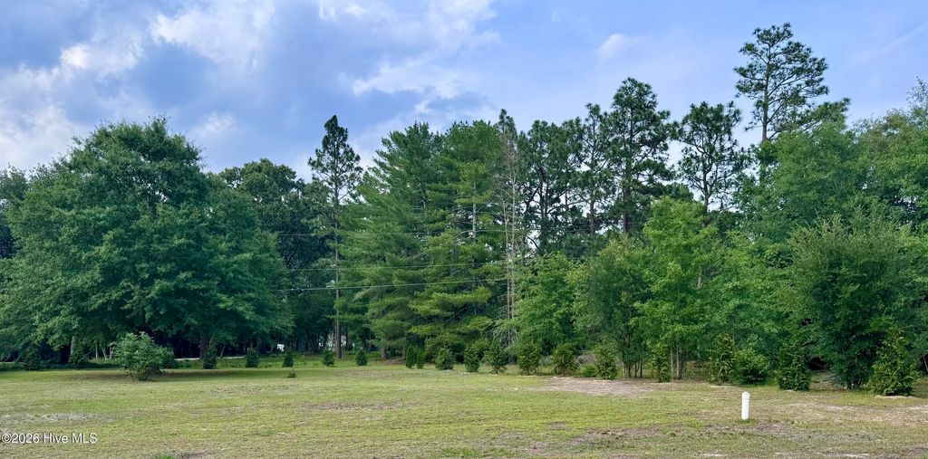 Photo of 12341 Mallard Creek Drive, Laurinburg, NC 28352 (MLS # 100580411)