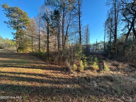 Tiny photo for 65 Old Blakes Bridge Road, Burgaw, NC 28425 (MLS # 100550546)