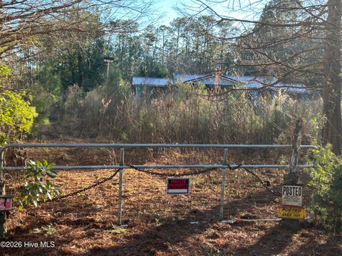 Tiny photo for 65 Old Blakes Bridge Road, Burgaw, NC 28425 (MLS # 100550546)