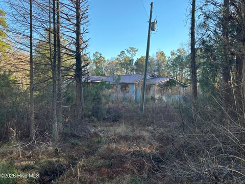 Tiny photo for 65 Old Blakes Bridge Road, Burgaw, NC 28425 (MLS # 100550546)