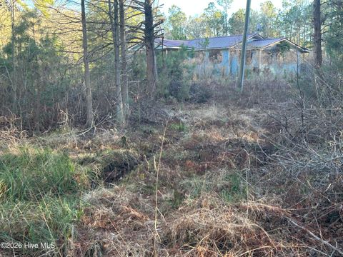 Tiny photo for 65 Old Blakes Bridge Road, Burgaw, NC 28425 (MLS # 100550546)