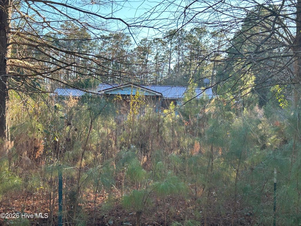 Photo of 65 Old Blakes Bridge Road, Burgaw, NC 28425 (MLS # 100550546)
