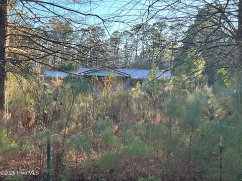Tiny photo for 65 Old Blakes Bridge Road, Burgaw, NC 28425 (MLS # 100550546)