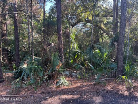 Tiny photo for 5 Gray Fox Court, Bald Head Island, NC 28461 (MLS # 100576746)