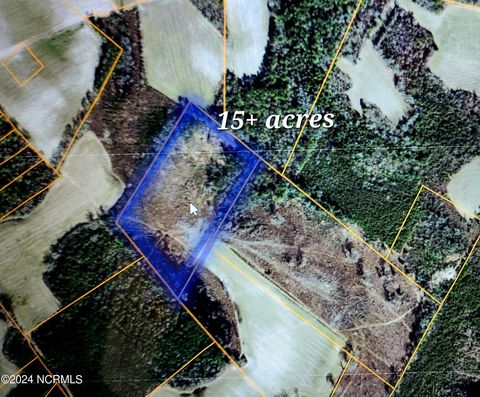 Vacant Land For Sale - 1 Harrells Highway<br/> Garland, NC 28441