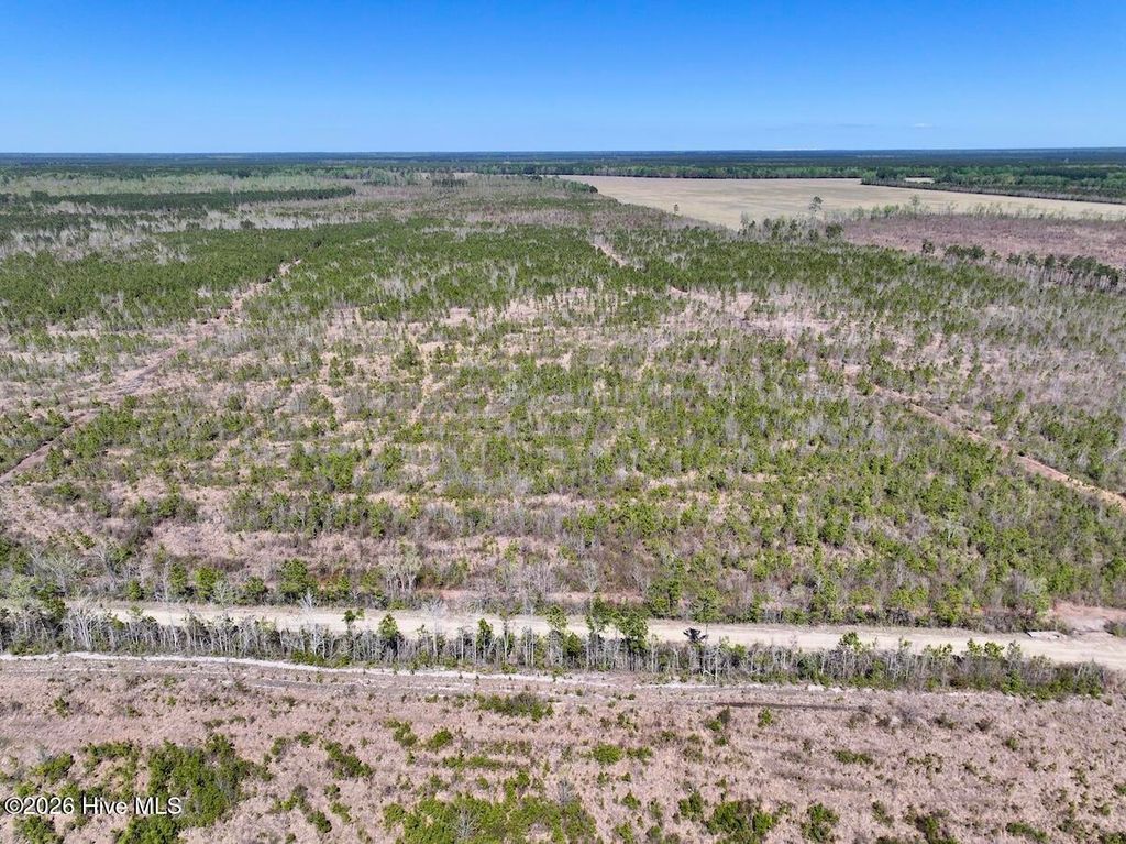 Photo of 0 Guinea Mill Road, Ernul, NC 28527 (MLS # 100567365)