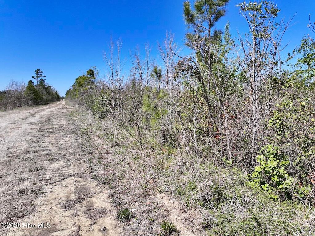 Photo of 0 Guinea Mill Road, Ernul, NC 28527 (MLS # 100567365)