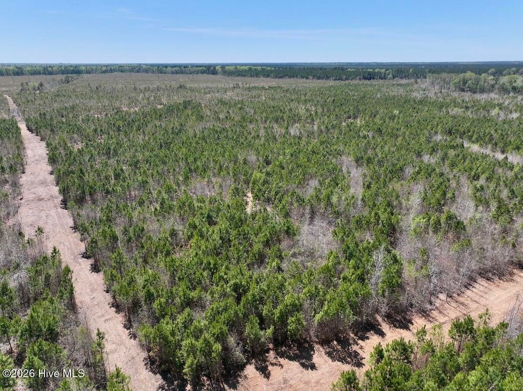 Photo of 0 Guinea Mill Road, Ernul, NC 28527 (MLS # 100567365)