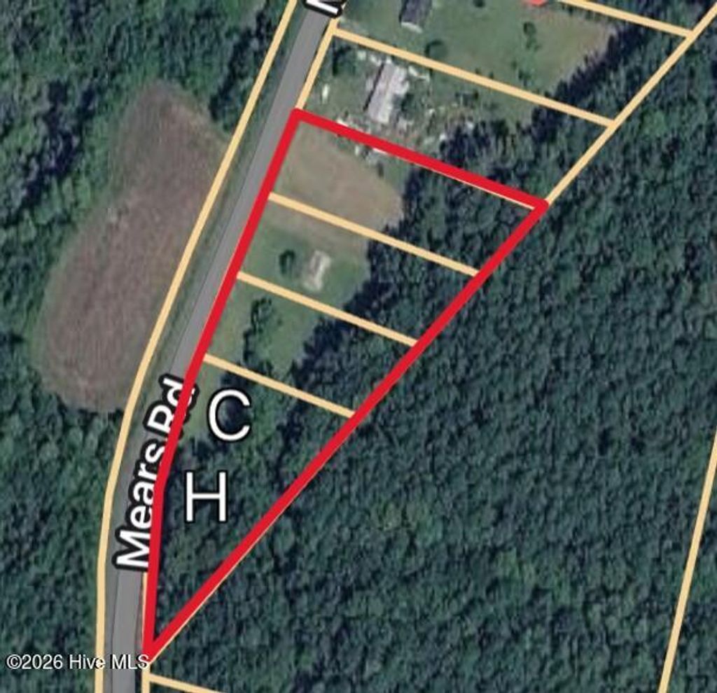 Photo of 999 Mears Road, Clarkton, NC 28433 (MLS # 100571893)