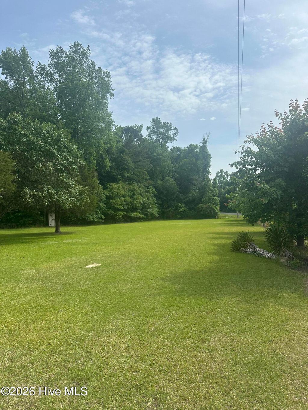 Photo of 999 Mears Road, Clarkton, NC 28433 (MLS # 100571893)