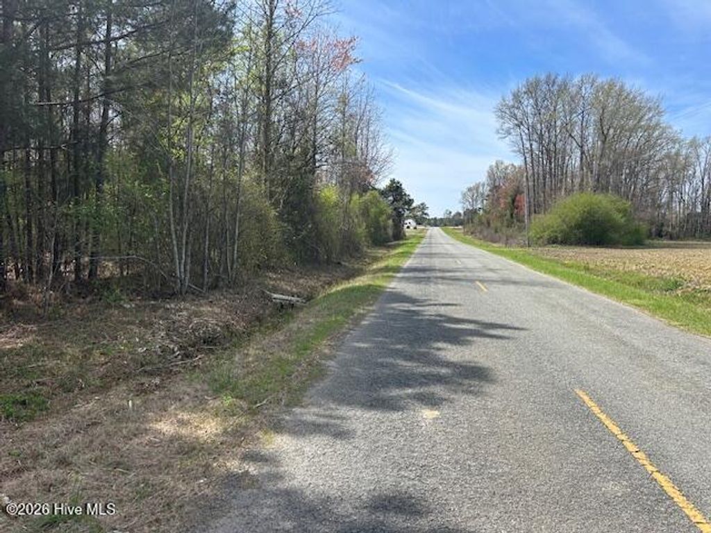 Photo of 0 Mintz Road, Roseboro, NC 28382 (MLS # 100561374)