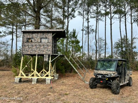 Tiny photo for 0 Indian Hill Road, Willard, NC 28478 (MLS # 100557592)