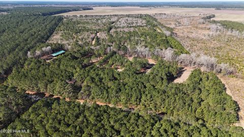 Tiny photo for 0 Indian Hill Road, Willard, NC 28478 (MLS # 100557592)