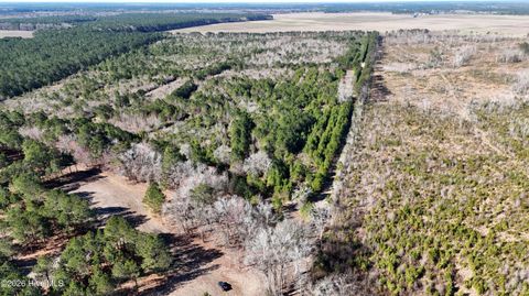 Photo of 0 Indian Hill Road, Willard, NC 28478 (MLS # 100557592)