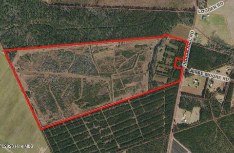 Tiny photo for 0 Indian Hill Road, Willard, NC 28478 (MLS # 100557592)