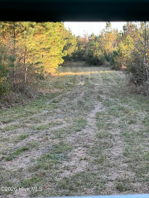 Tiny photo for 0 Indian Hill Road, Willard, NC 28478 (MLS # 100557592)