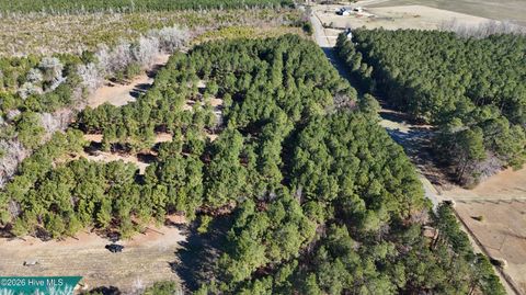 Tiny photo for 0 Indian Hill Road, Willard, NC 28478 (MLS # 100557592)