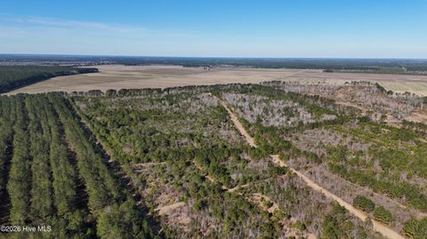 Tiny photo for 0 Indian Hill Road, Willard, NC 28478 (MLS # 100557592)