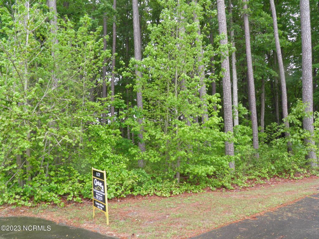 Photo of 143 Glasgow, Rocky Mount, NC 27804 (MLS # 100381464)