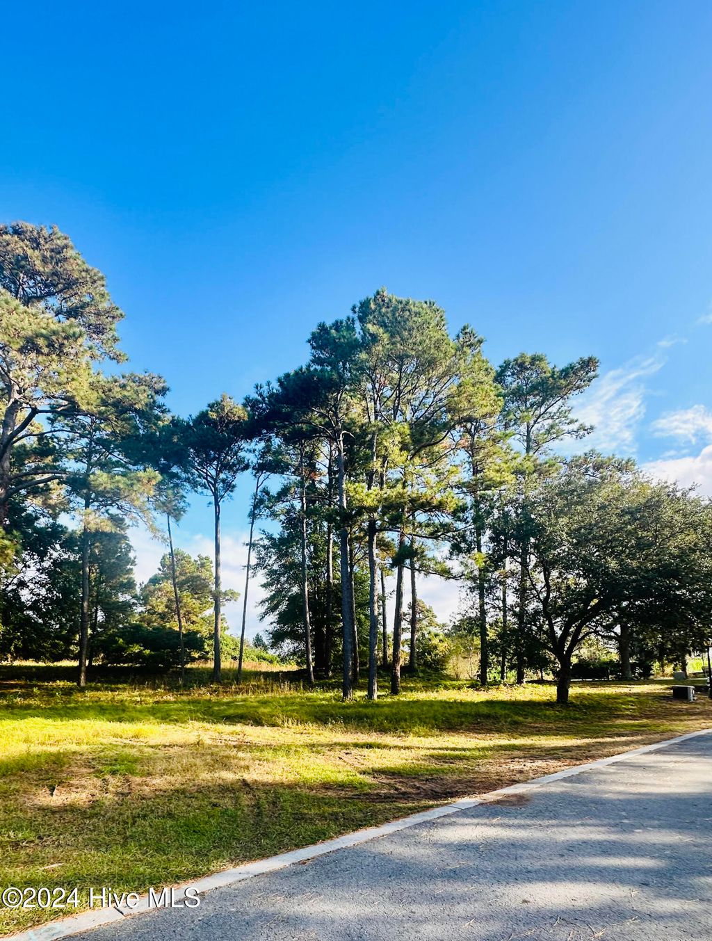 Photo of 4008 Barnes Bluff Drive SE, Southport, NC 28461 (MLS # 100473941)