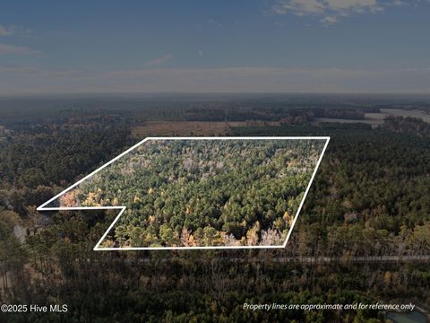 Vacant Land For Sale - 1449 Pameter Road<br/> Hallsboro, NC 28442