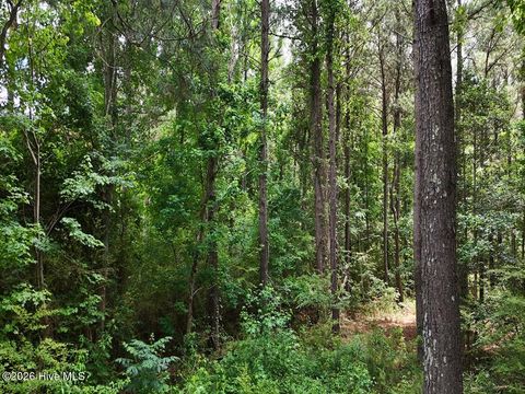 Tiny photo for 0 Ruby'S Lane, Maysville, NC 28555 (MLS # 100577753)
