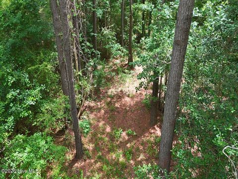 Tiny photo for 0 Ruby'S Lane, Maysville, NC 28555 (MLS # 100577753)