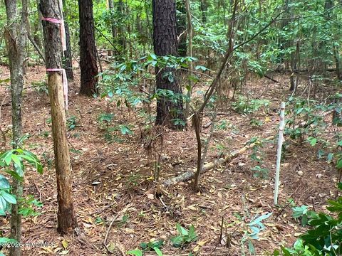 Tiny photo for 0 Ruby'S Lane, Maysville, NC 28555 (MLS # 100577753)